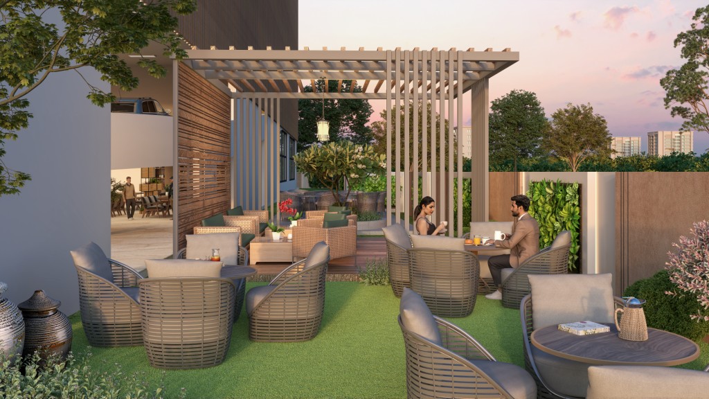 Rooftop and city views